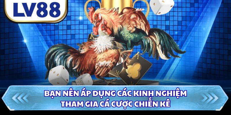 Bạn nên áp dụng các kinh nghiệm tham gia cá cược chiến kê