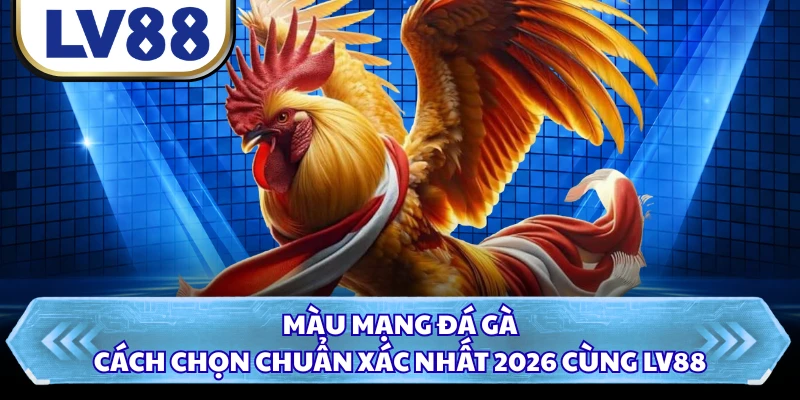 Màu Mạng Đá Gà - Cách Chọn Chuẩn Xác Nhất 2026 Cùng LV88