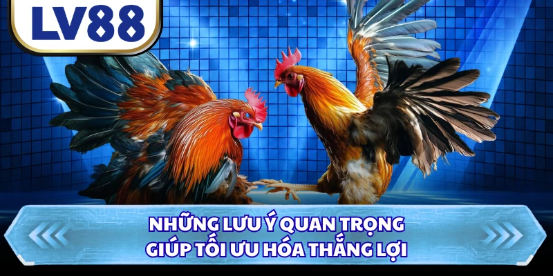 Những lưu ý quan trọng giúp tối ưu hóa thắng lợi