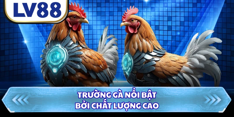 Trường gà nổi bật bởi chất lượng cao