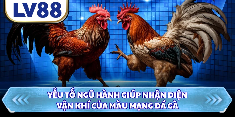 Yếu tố ngũ hành giúp nhận diện vận khí của màu mạng đá gà